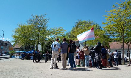 AfD-Protest – Die Erste