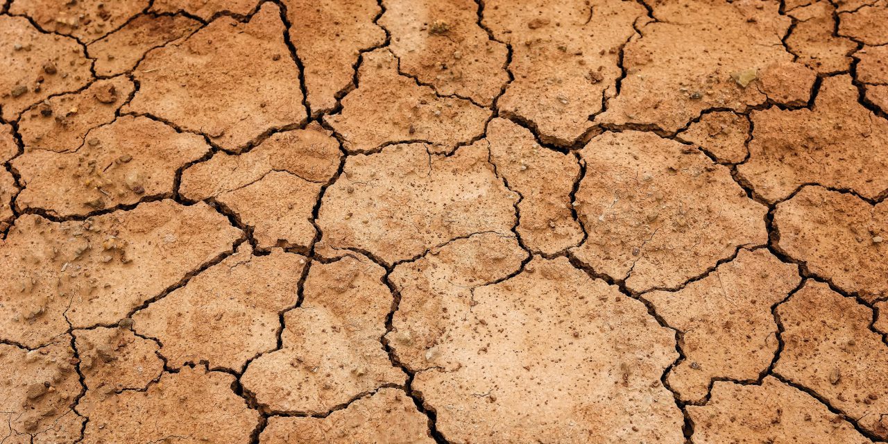 Leben in einer 2,5 Grad-Welt