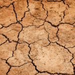 Leben in einer 2,5 Grad-Welt