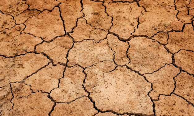 Leben in einer 2,5 Grad-Welt