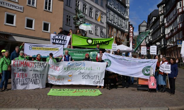 Klimaziel 2030: Umweltgruppen fordern mehr Tempo