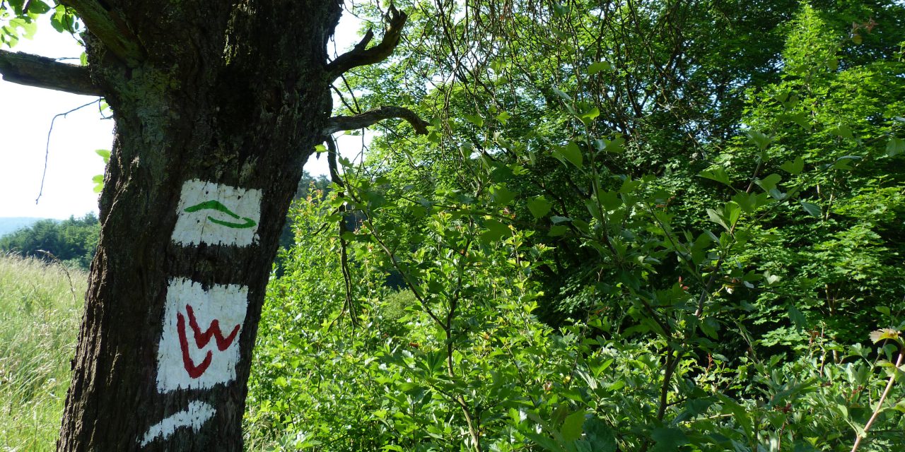 Ausgezeichneter Lahnwanderweg