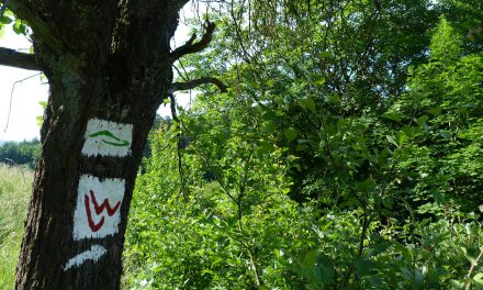 Ausgezeichneter Lahnwanderweg