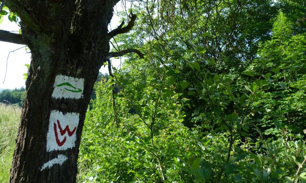 Ausgezeichneter Lahnwanderweg