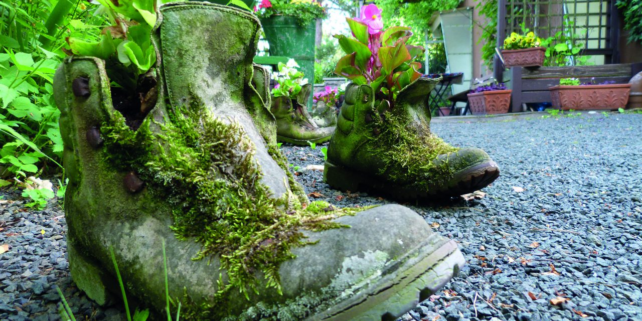 Wandern für die Wissenschaft