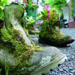 Wandern für die Wissenschaft