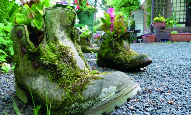 Wandern für die Wissenschaft