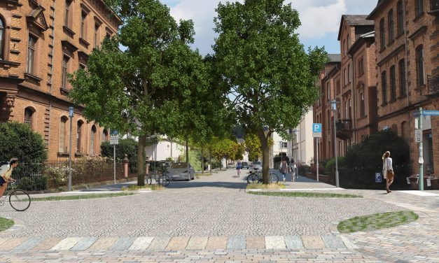 Zankapfel Liebigstraße: Bäume gegen die Hitze