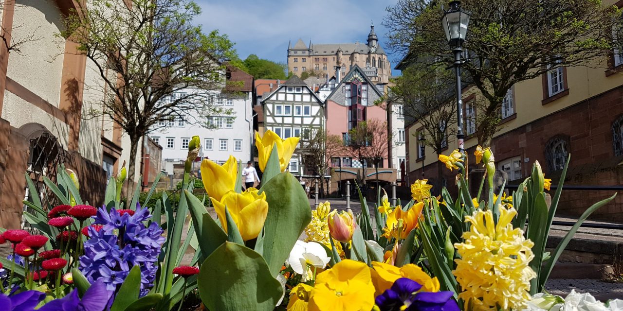 Eine Stadt blüht auf