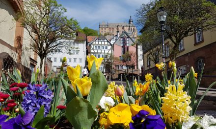 Marburger Frühling