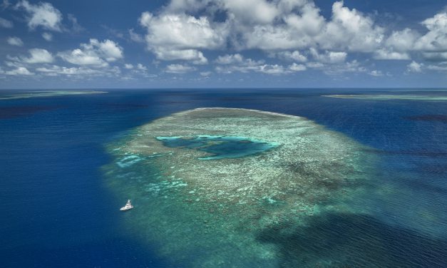 „Eine Welt für morgen“