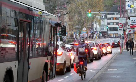 Rote Karte für Bürgerentscheid