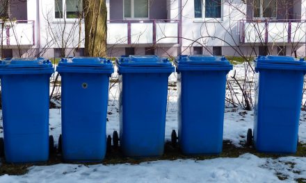 Wer hat welche Mülltonnen?