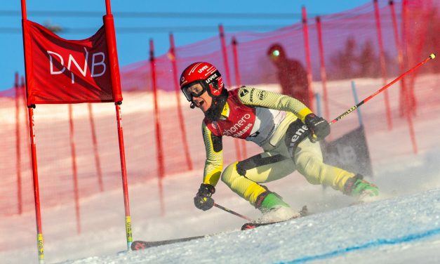 Von der Freiheit des Skifahrens