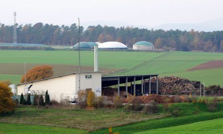 Spitze bei den Bioenergiedörfern