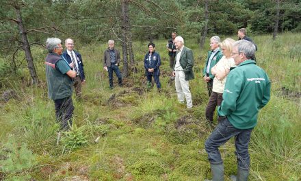 Sieben Naturschutzgebiete im Burgwald erweitert