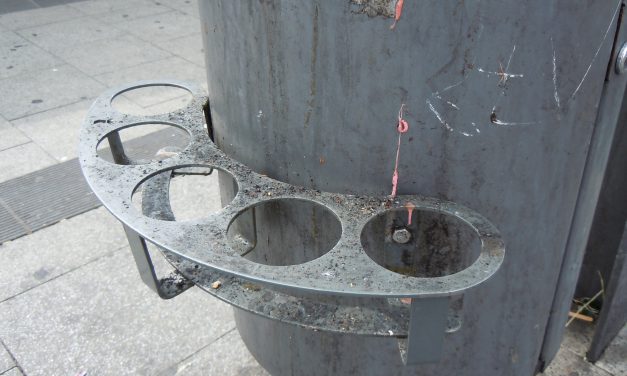 Pilotprojekt mit Pfandringen