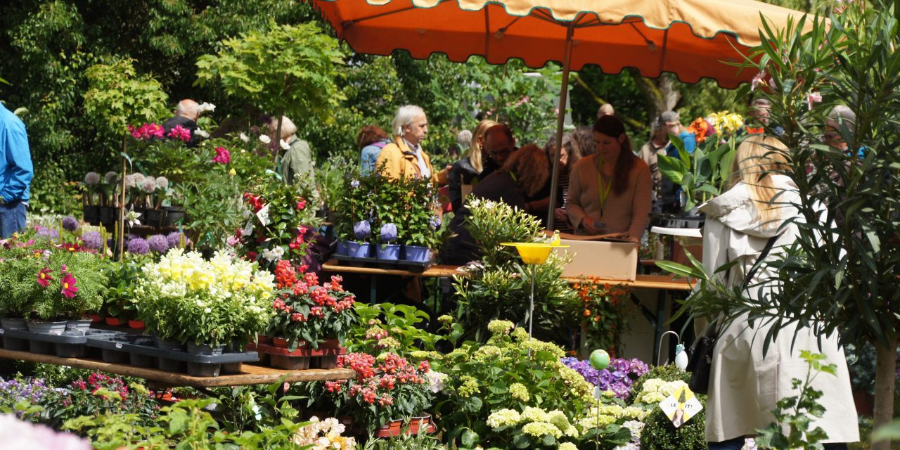 Frühjahrs-Pflanzenmarkt