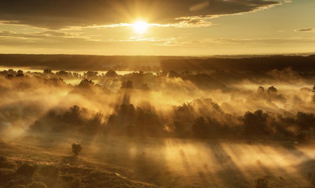 Farbe und Klang der Ukraine