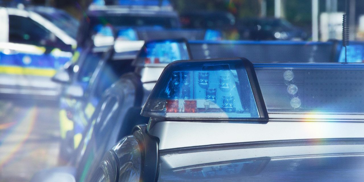 Morddrohung gegen Forscherin