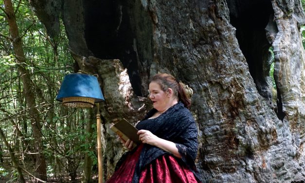 „Von Bäumen und Büchern“