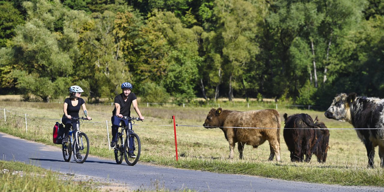 Teilsperrung Lahntalradweg