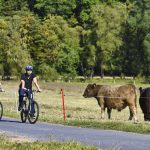 Teilsperrung Lahntalradweg