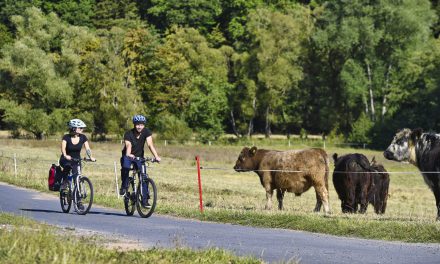 Teilsperrung Lahntalradweg