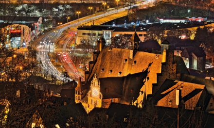 Risse spalten Linke und Grüne