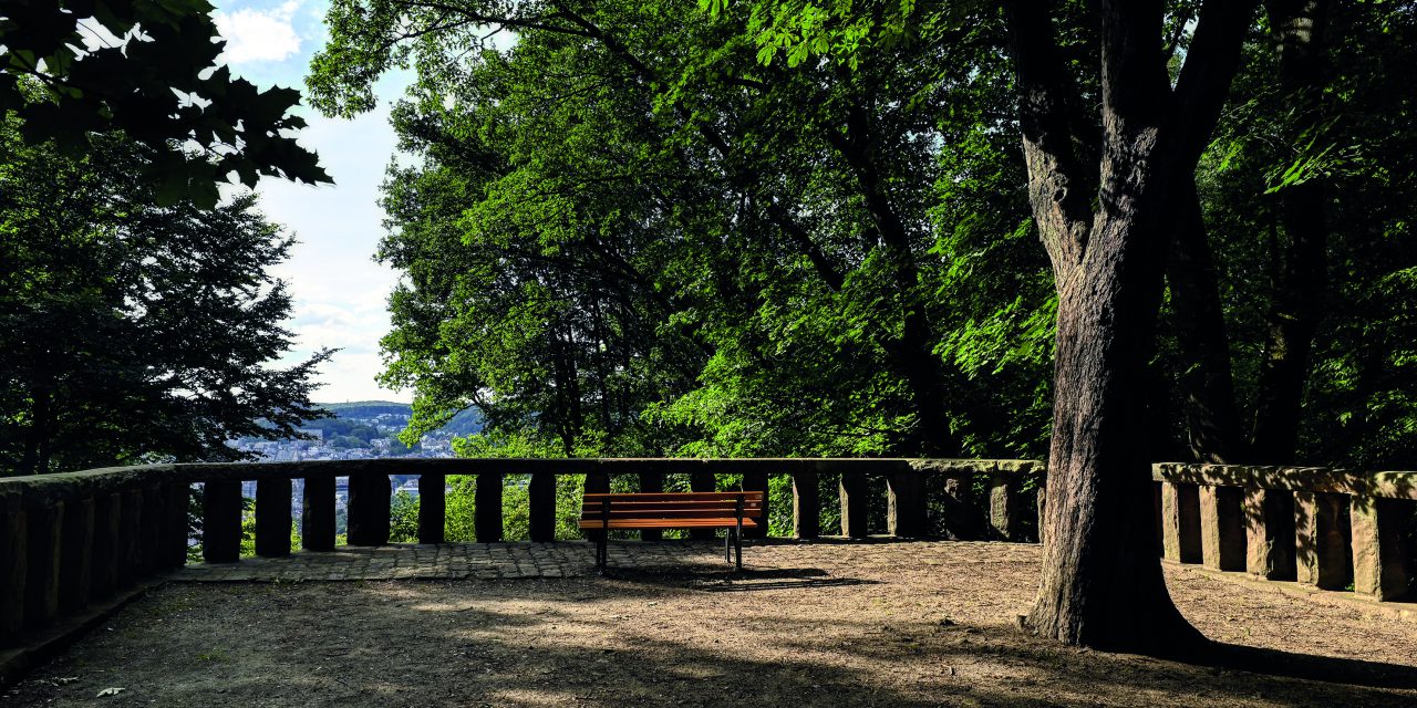 Aussichten & Ansichten