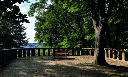 Aussichten & Ansichten