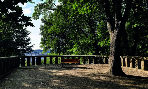 Aussichten & Ansichten
