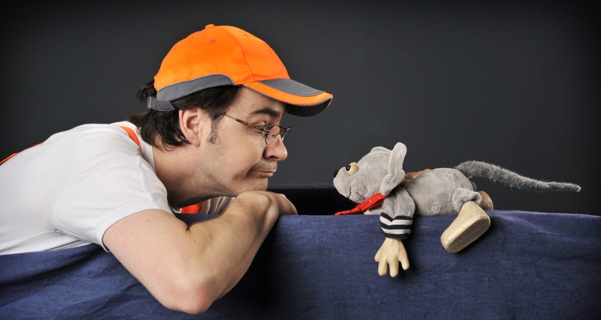 „Die großen Abenteuer des kleinen Ritter Maus“