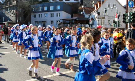 Rosenmontagszug in Marburg