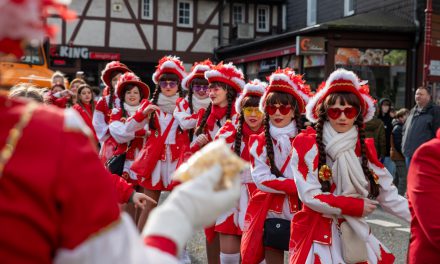 12.000 bei Rosenmontagszug