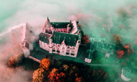 Forschen im „Castle College“ 
