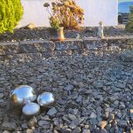 Ein grüner Zankapfel