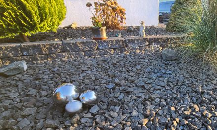 Ein grüner Zankapfel