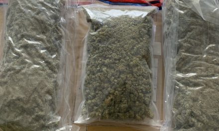 Kripo Marburg findet 3,7 Kilo Marihuana