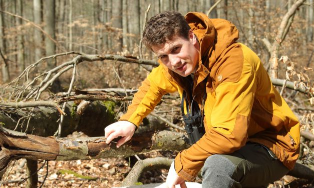 Neue Professur an Philipps-Uni