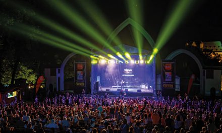 Das Stadtfest im Überblick