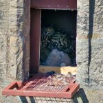 Uhu-Küken ist geschlüpft