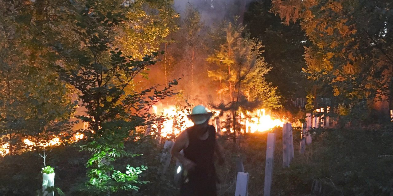 Waldbrand bei Cölbe