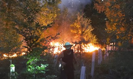 Waldbrand bei Cölbe