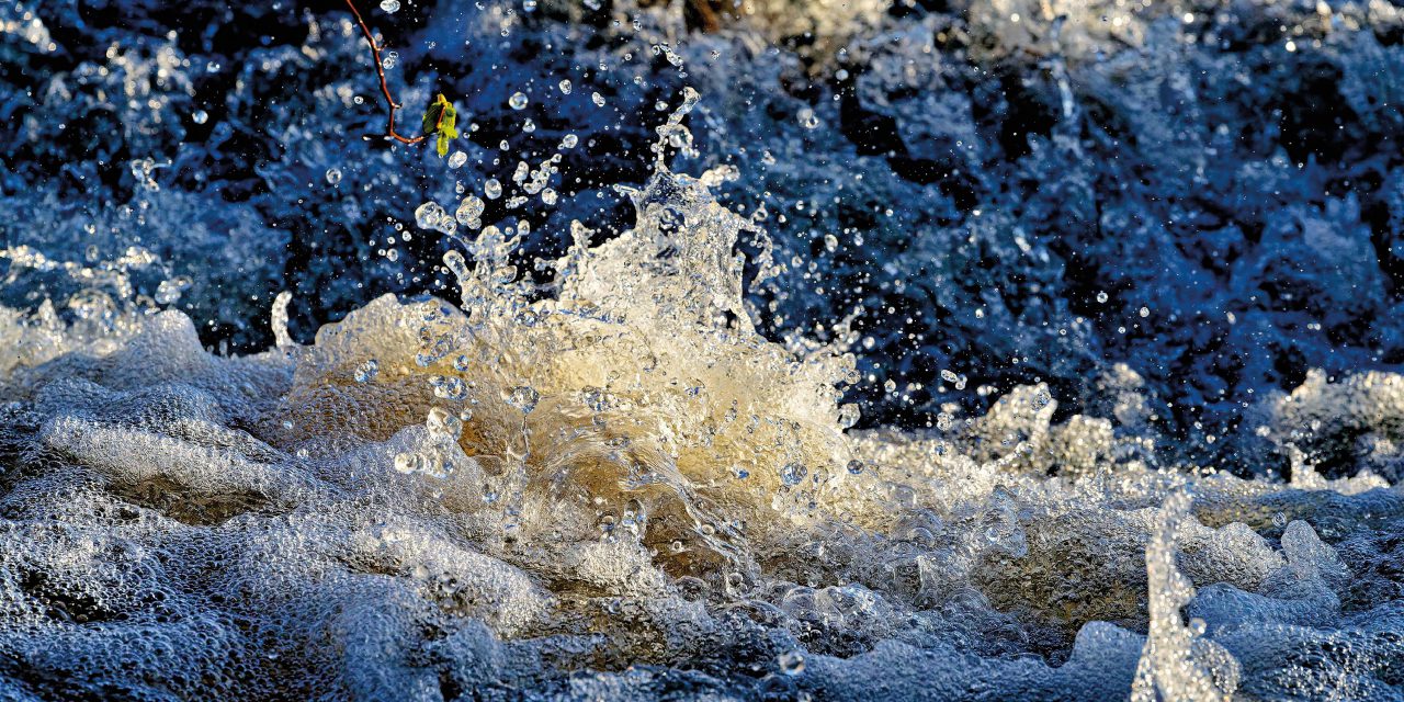 Wo das Wasser fehlt