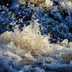 Wo das Wasser fehlt