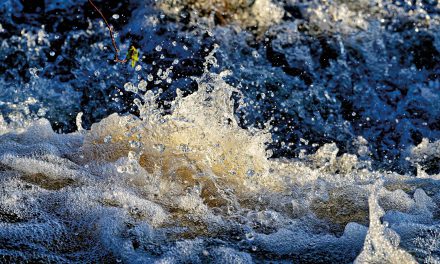 Wo das Wasser fehlt