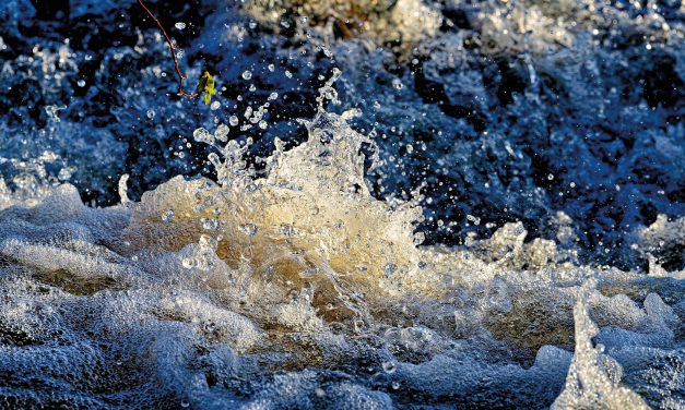 Wo das Wasser fehlt