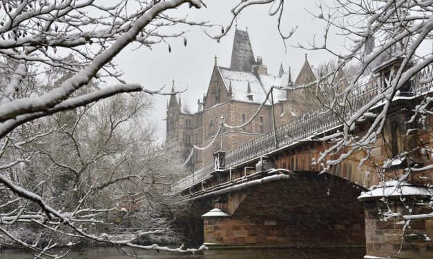 Vielfältiges Studienangebot