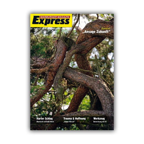 Cover Express 20/2026